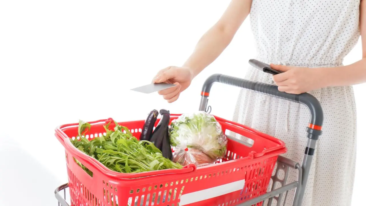 vale alimentação é obrigatório